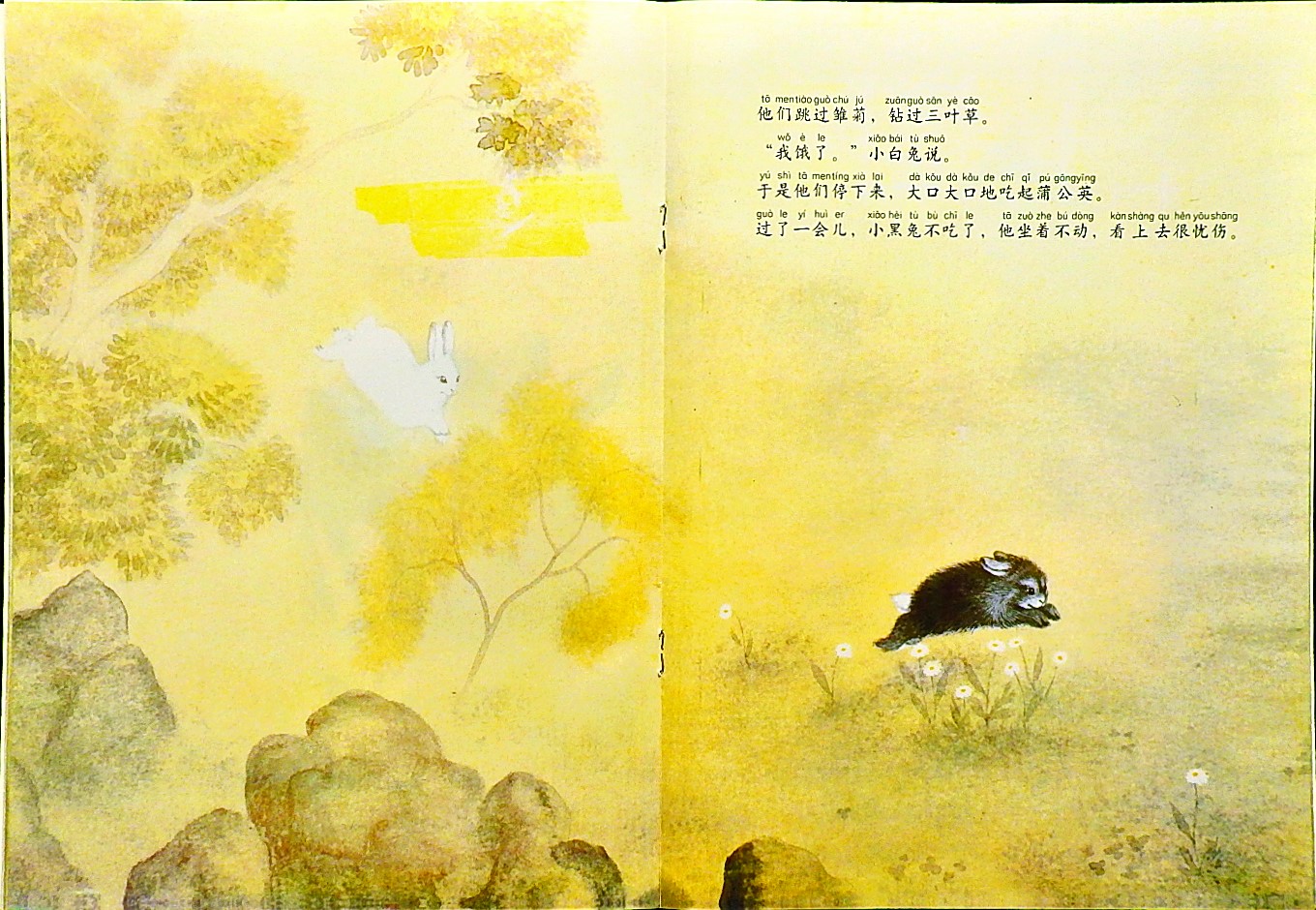 黑兔和白兔 (09),绘本,绘本故事,绘本阅读,故事书,童书,图画书,课外阅读